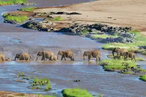 5 Day Small Group Garden Route Tour From Cape Town