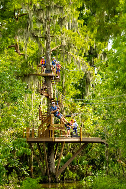 New Orleans: Swamp Zipline Tour