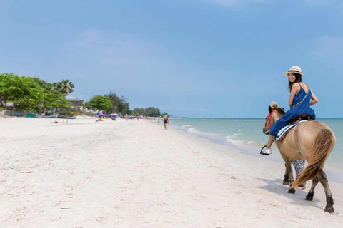 Punta Cana: Full-Day Adventure with Lunch & Drinks