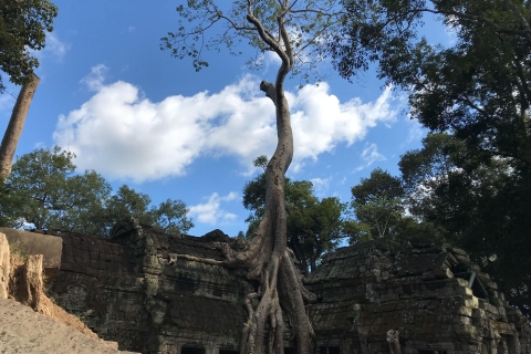 Prywatny przewodnik: 1-dniowa wycieczka do Angkor Wat