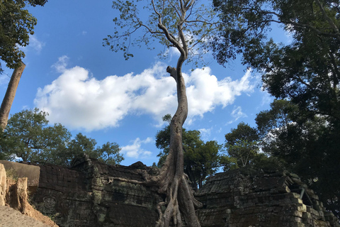 Lo más destacado de Angkor Wat, Ta Prohm y Angkor Thom