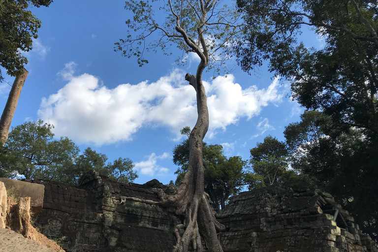 Destaques de Angkor Wat, Ta Prohm e Angkor Thom