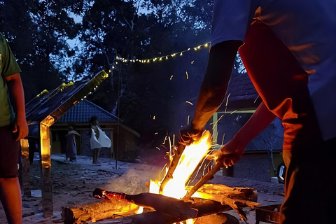 Langkawi: Night Safari, Campfire Tales & Bamboo Dinner