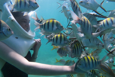 San Juan: sea trek tour explore beneath the waves