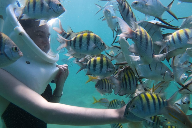 San Juan: sea trek tour explore beneath the waves