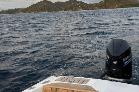 St. Lucia: Land and Sea Full-Day Coastal Adventure