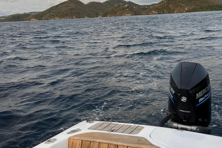 St. Lucia: Land and Sea Full-Day Coastal Adventure