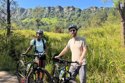 Kandy: Tea Plantations Cycling Tour with Local Bites