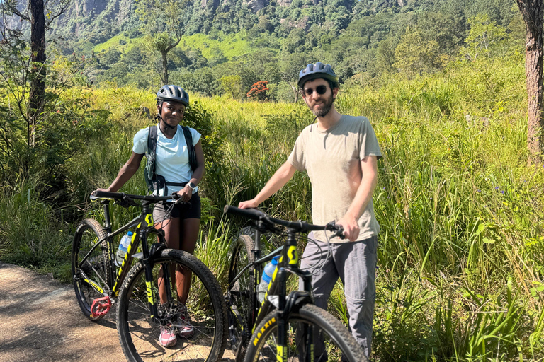 Kandy: Tea Plantations Cycling Tour with Local Bites