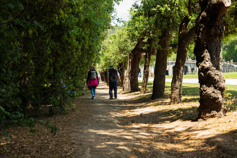 Geführte Tour durch den Königspalast von Caserta: Entdecke den Königspalast und die GärtenEnglischsprachige Tour mit Zug ab Neapel inklusive