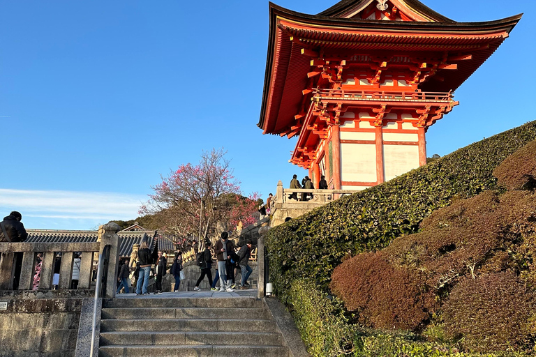 Kyoto: Kiyomizu Temple Walking Tour with Expert Guide