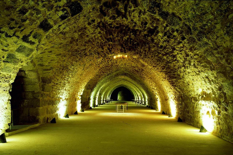One Day Tour to the Dead Sea and Kerak Castle Transportation Only