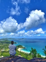 Jungle Adventure Hike,Climb, Waterfall, Discover Seychelles! - Housity