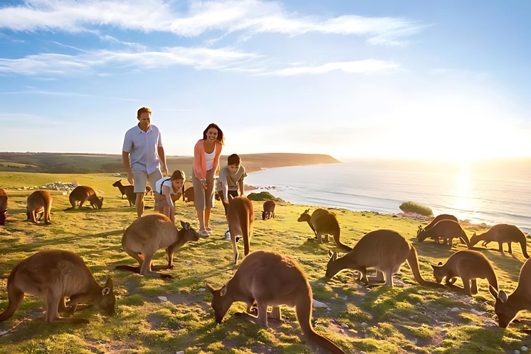 Great Ocean Road and Wildlife Day Tour