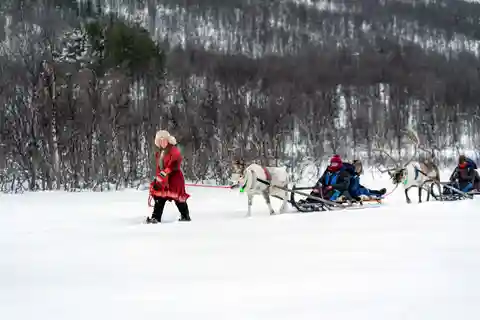 Desde Tromsø: Trineo de Renos Diurno en el Campamento Tamok