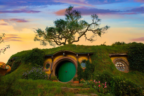 Au départ d&#039;Auckland : Visite privée du plateau de tournage de Hobbiton (flexible)