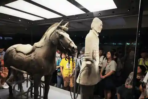 Xi'an: Terracotta Army Museum Group Day tour
