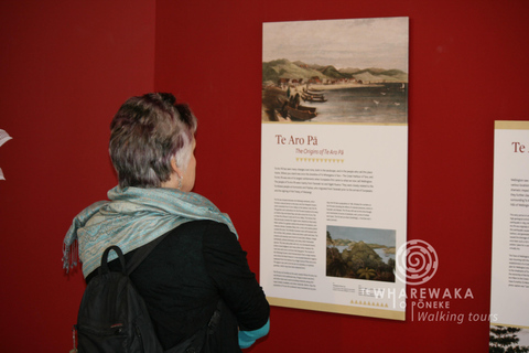 Wellington: Verborgen Māori schatten Tour