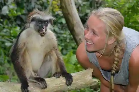 Zanzibar : Visite guidée dans la forêt de Jozani pour observer les singes colobes