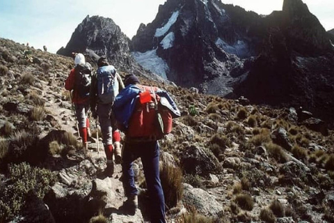 From Nairobi: Mount Kenya Day Tour with Lunch