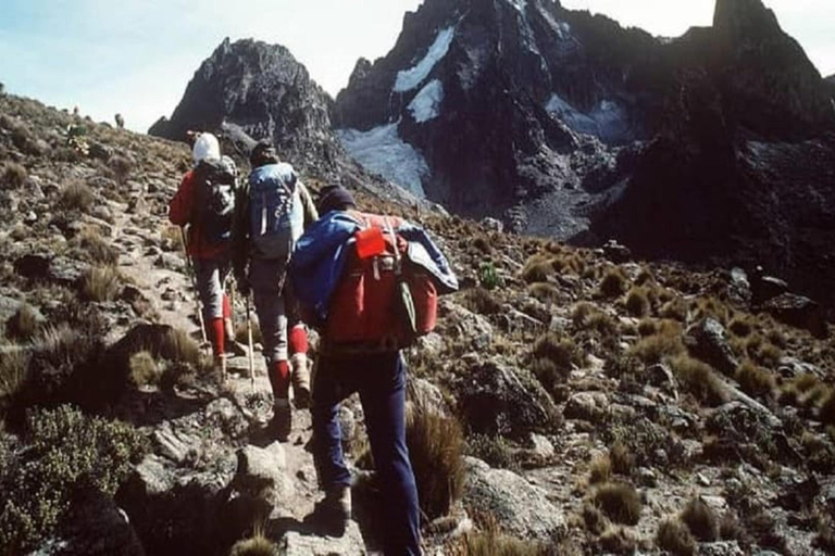 From Nairobi: Mount Kenya Day Tour with Lunch