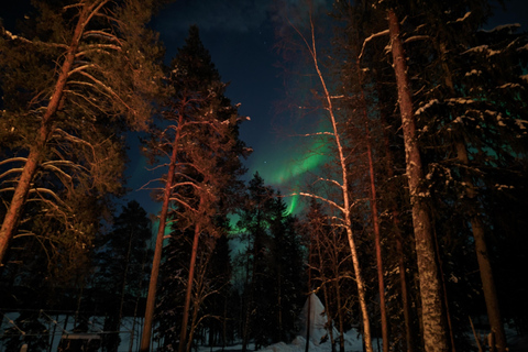 Rovaniemi:Santa Claus Village Guided Tour with Santa's gift Private Santa village