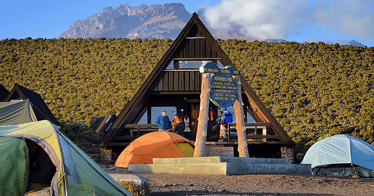 D As De Escalada Al Kilimanjaro Por La Ruta Marangu Getyourguide