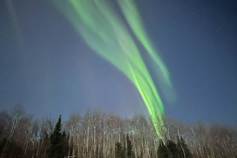 Excursão de luxo em autocaravana para perseguir a Aurora Tour em pequenos grupos e em particular