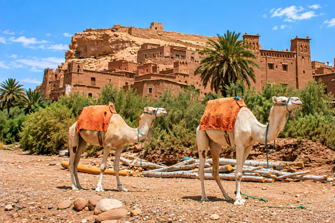 From Marrakech: Ait ben Haddou & Ouarzazate Full Day trip Private Day Tour (Exclusive Experience)