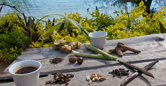 Cloves, vanilla pods, nutmeg, cardamom, cinnamon bark and lemongrass laid out on a weathered wooden table, two cups of coffee beside them, the sea behind