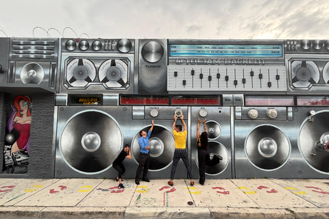 Miami: Graffiti & Street Art Tour in Wynwood Wynwood Graffiti’s Private Tour 2h