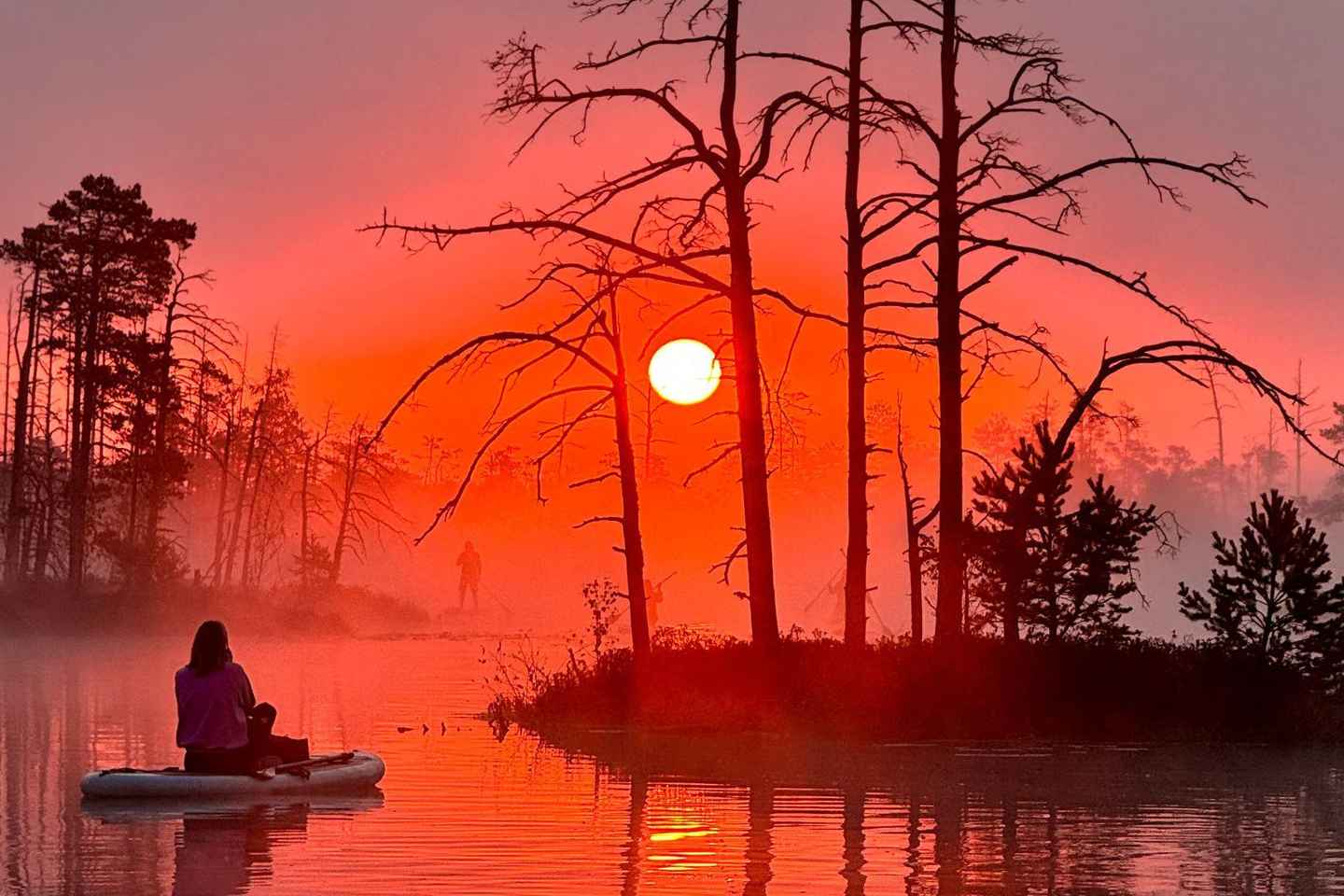 Frá Riga: Sólarupprás SUP ferð með akstur að Cenas Tīrelis