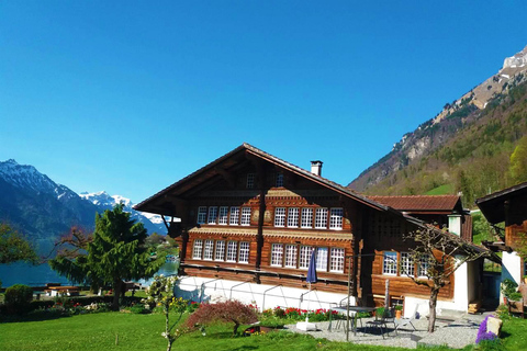 Private tour to Interlaken from ZurichTransport, Driver Guide