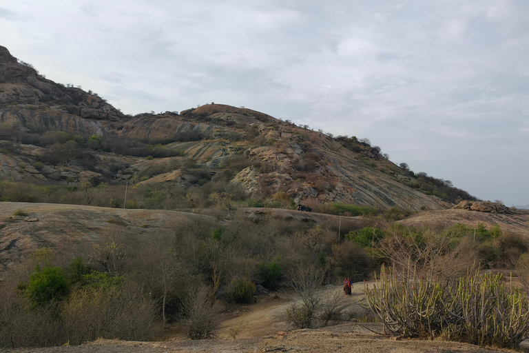 Jodhpur To Udaipur: Ranakpur Temple & Jawai Leopard Safari