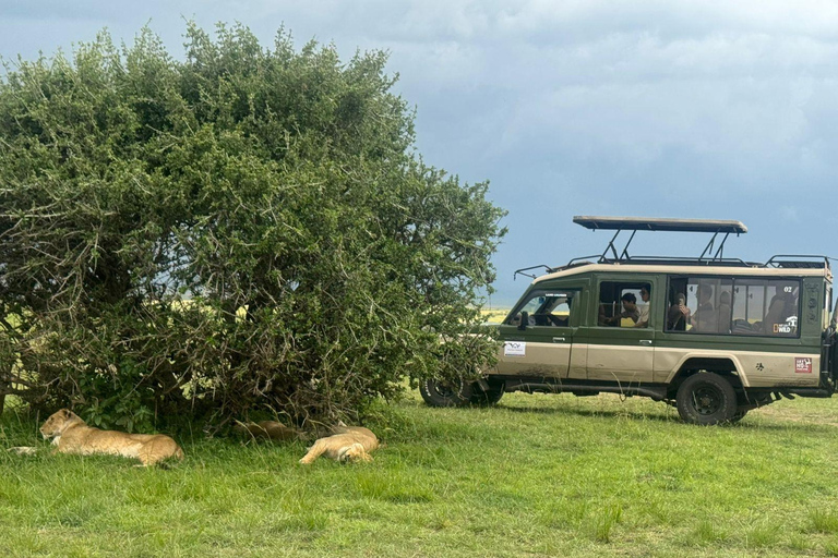 Nairobi: 8-Day Big Five, Culture & Photo Safari 8-Day Big Five, Culture & Photo Safari -Budget accommodation