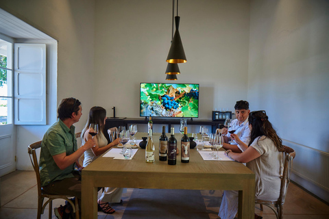 Colchagua Valley: Calcu-tourColchagua-vallei: Calcu-tour