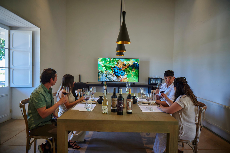 Colchagua Valley: Calcu-tourColchagua-vallei: Calcu-tour