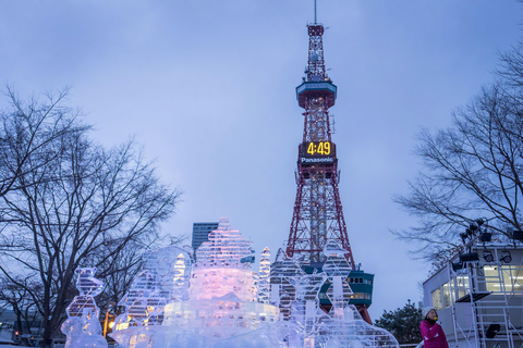Sapporo: Private Car Tour with English/Japanese Guide & Car