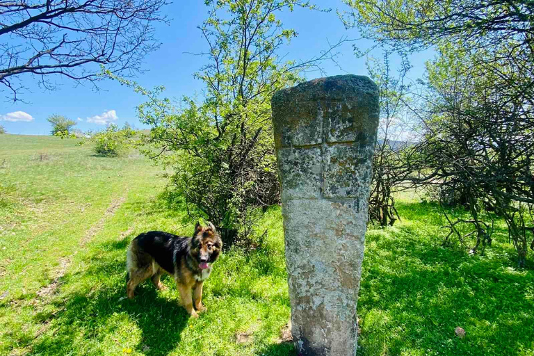 Sofia: The Beauty of the Countryside with a Homemade Lunch