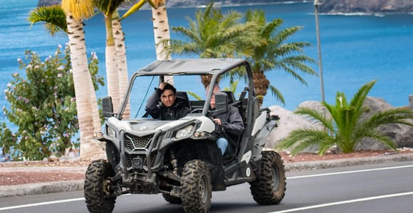 Tenerife: Teide National Park & Gigantes Cliffs Buggy Tour