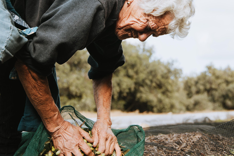 Corfu: Guided Olive Groves Tour with Olive Oil Tasting