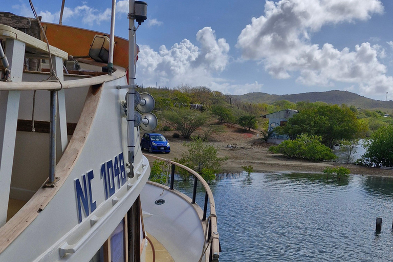 Curacao: Blue Room Cave and Turtles Boat Trip with Pizza