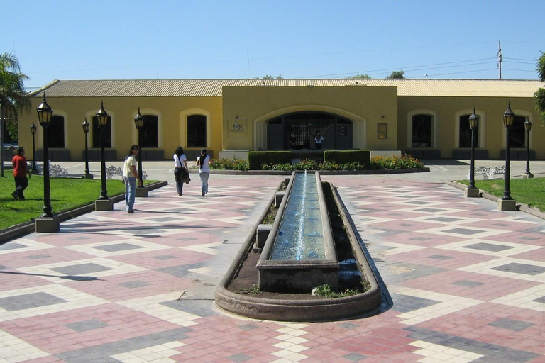 Mendoza: City TourCiudad y alrededores