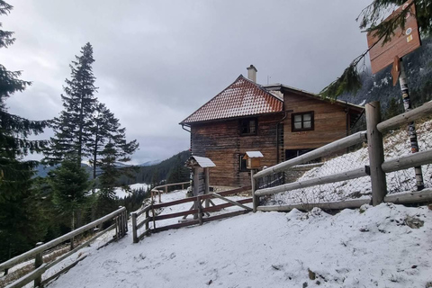 Brașov: Curmătura Chalet, adventure with Mountain Guide
