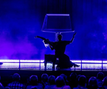 Branson: Escape Reality Magic Dinner Show
