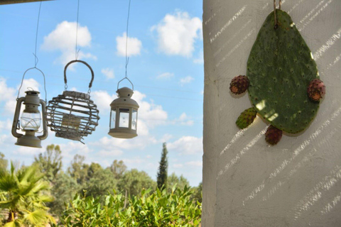 Apulien: Geführte Tour durch die Weinberge mit Weinverkostung