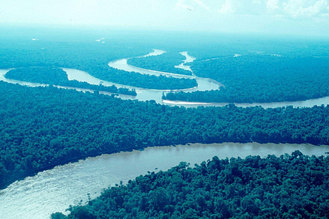 From Iquitos: Amazonas in 4 Days: | Nanay River + Monkeys |