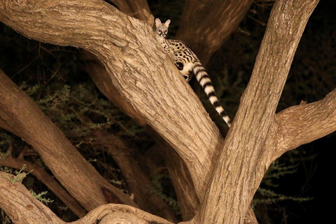 3 Days, 2 nights safari to Samburu National Reserve 3 Days private safari in a 4x4 Landcruiser jeep