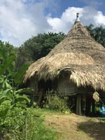Villaggio di Embera a Chagres River e escursioni alla cascata - Housity
