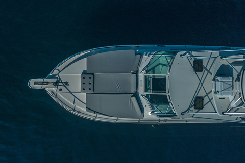 卡波圣卢卡斯：游艇之旅 + 鲸鱼观赏卡波圣卢卡斯：游览 paseo al Arco en Yate + Safari Whale